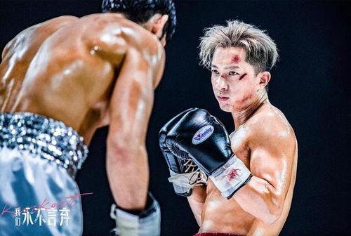 拳王全集在线观看,激战巅峰，热血沸腾的拳击传奇  第2张